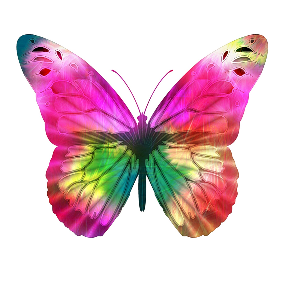 //progressline.pl/wp-content/uploads/2020/03/butterfly.png